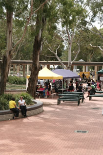 Market day at UC