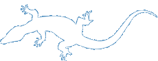 UC Monitor logo
