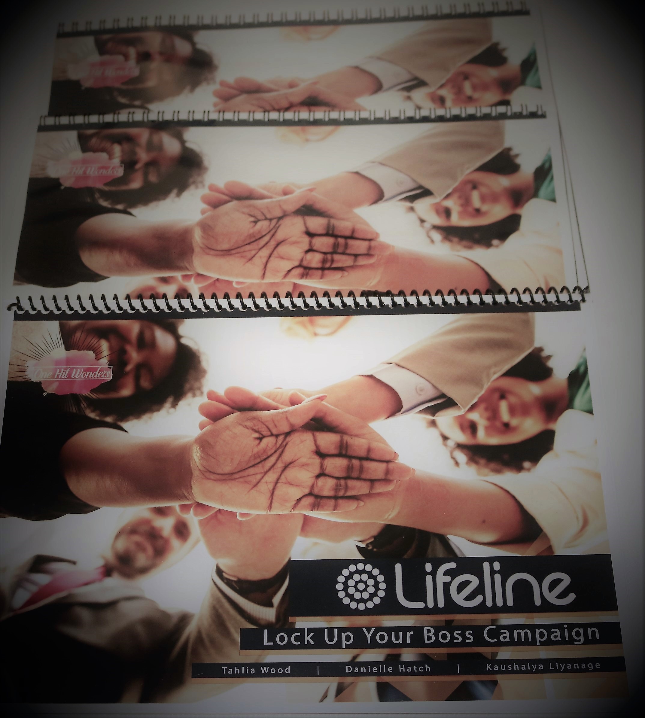 Image of Lifeline pitch documents