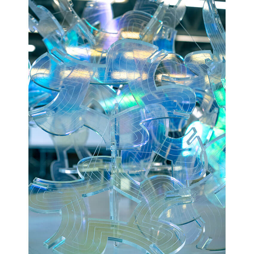 Elyse Austin & Bhumika Goel Project Image 2