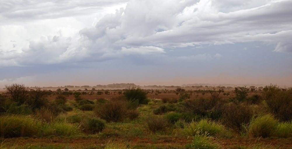 A scene of an Australian desert with a storm rolling in