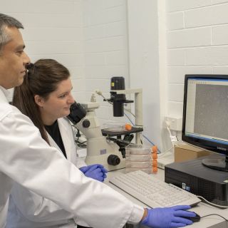 Dr Tariq Ezaz and Julie Strand are working on a project to develop cell lines for biobanking.