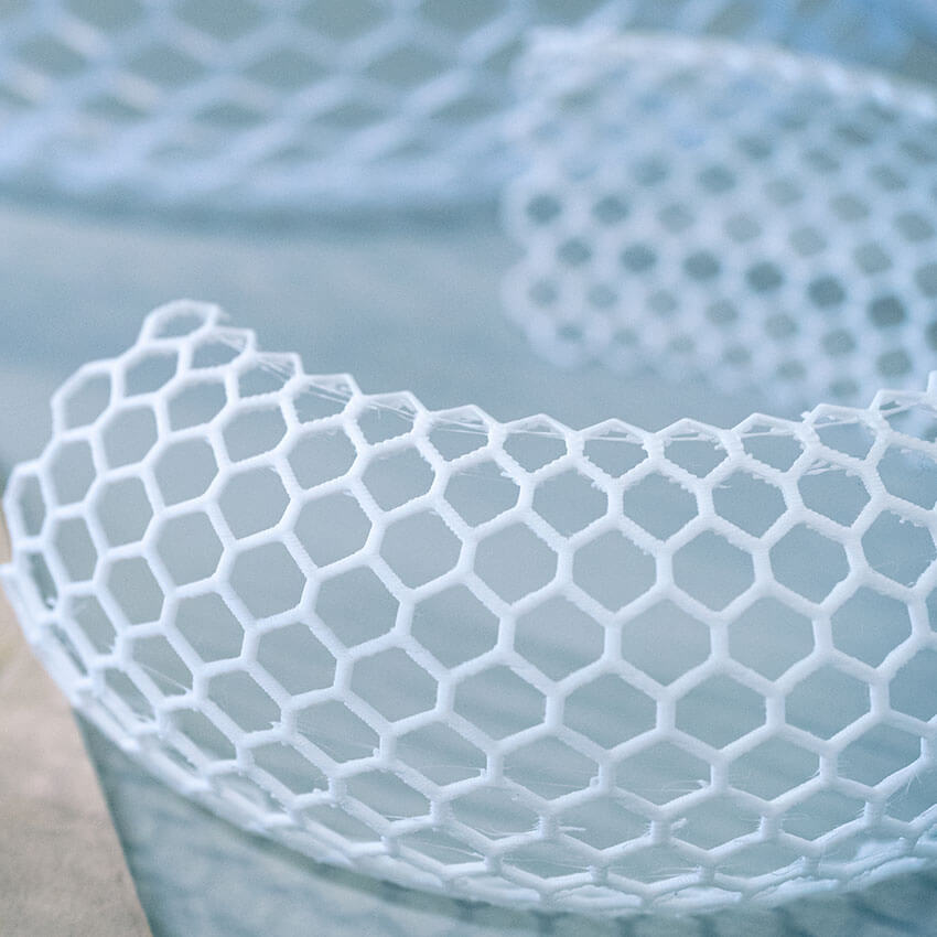 Aggie Rostagno, Cedar Hernandez & Joshua Catanzariti Project Image 1