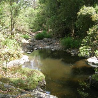 Headwater stream pool at Gap Creek