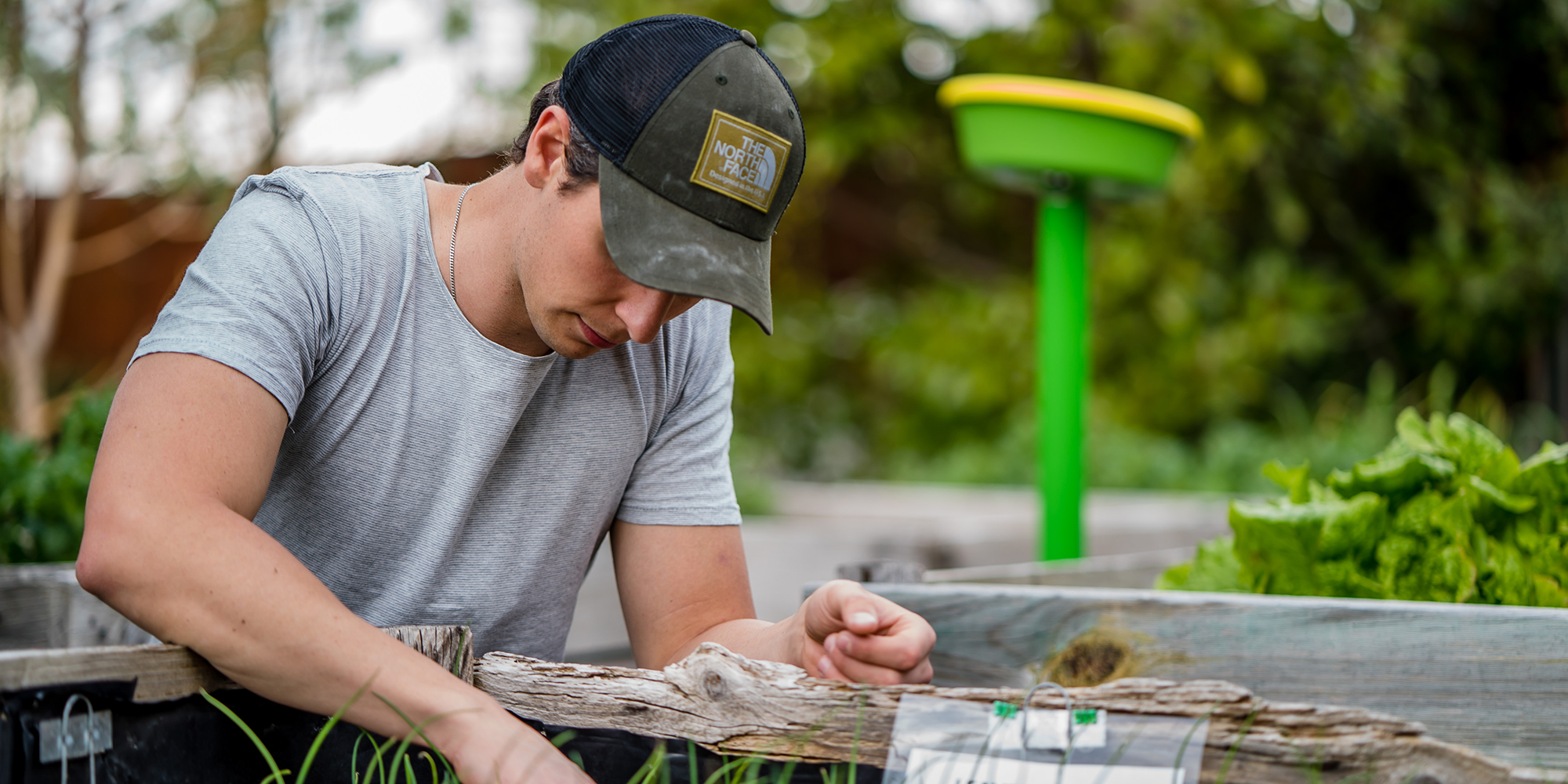 The future is now Using robotics to grow vegetables at home UnCover