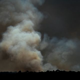 Smoke billows up from a wildfire burning within the Amazon Rainforest