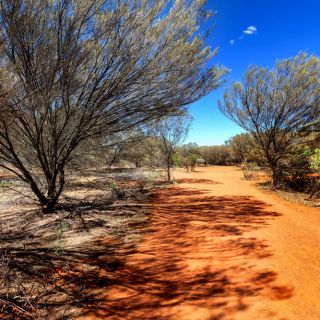 Australian outback