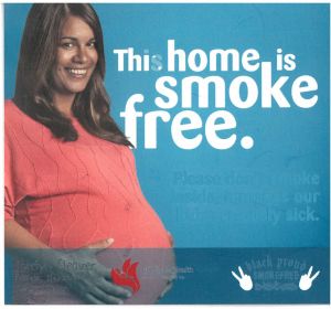 A sticker which says Sleeping bub. This home is smokefree. Please don't smoke inside, it makes our kids seriously sick