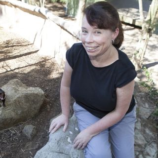 Headwater stream pool at Gap Creek