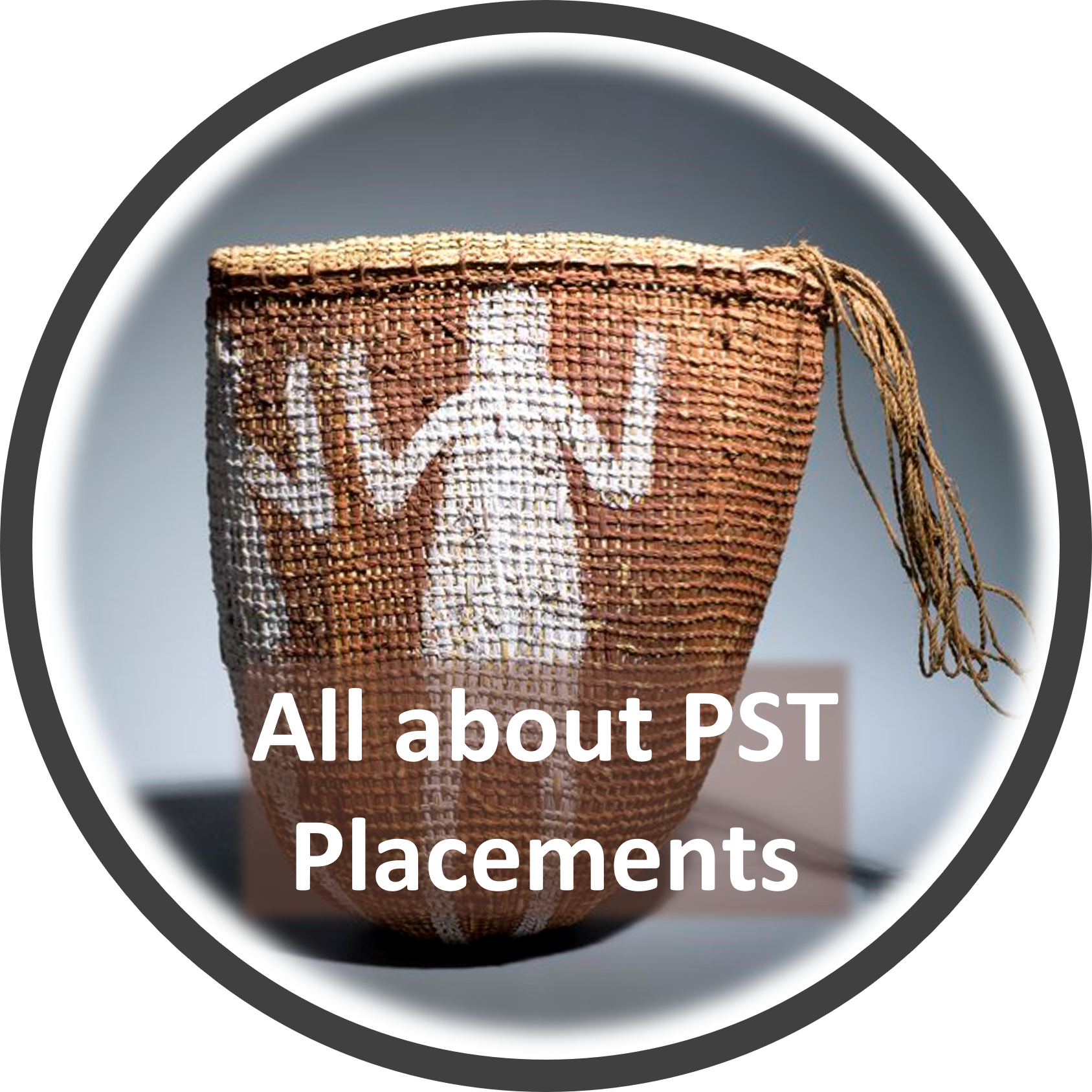 All about PST Placements icon