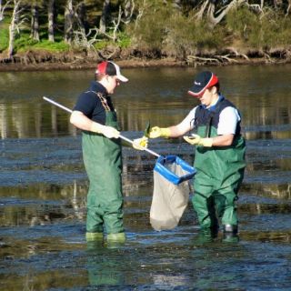 Freshwater researchers take samples of aquatic life in a river