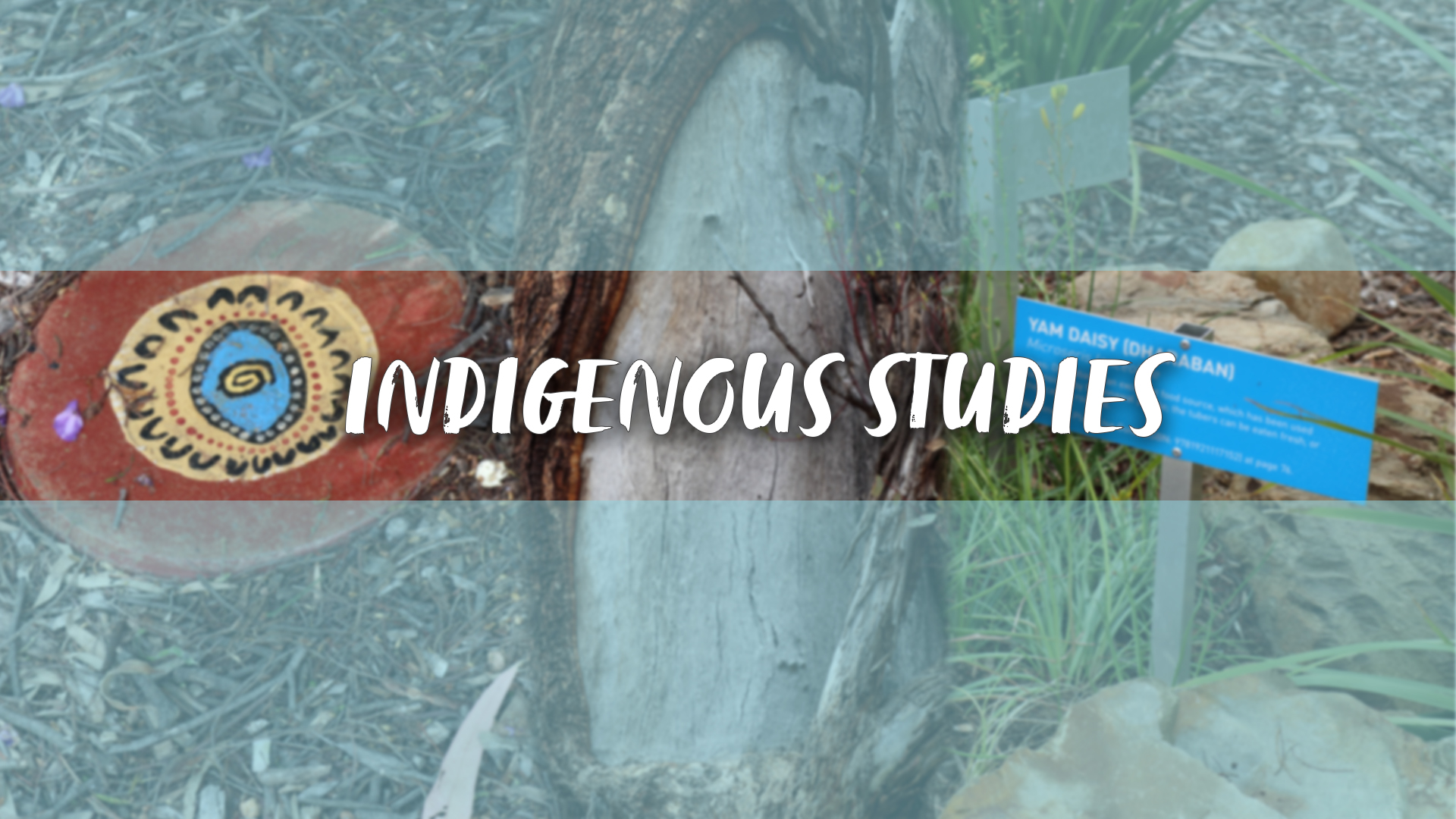 Indigenous Studies