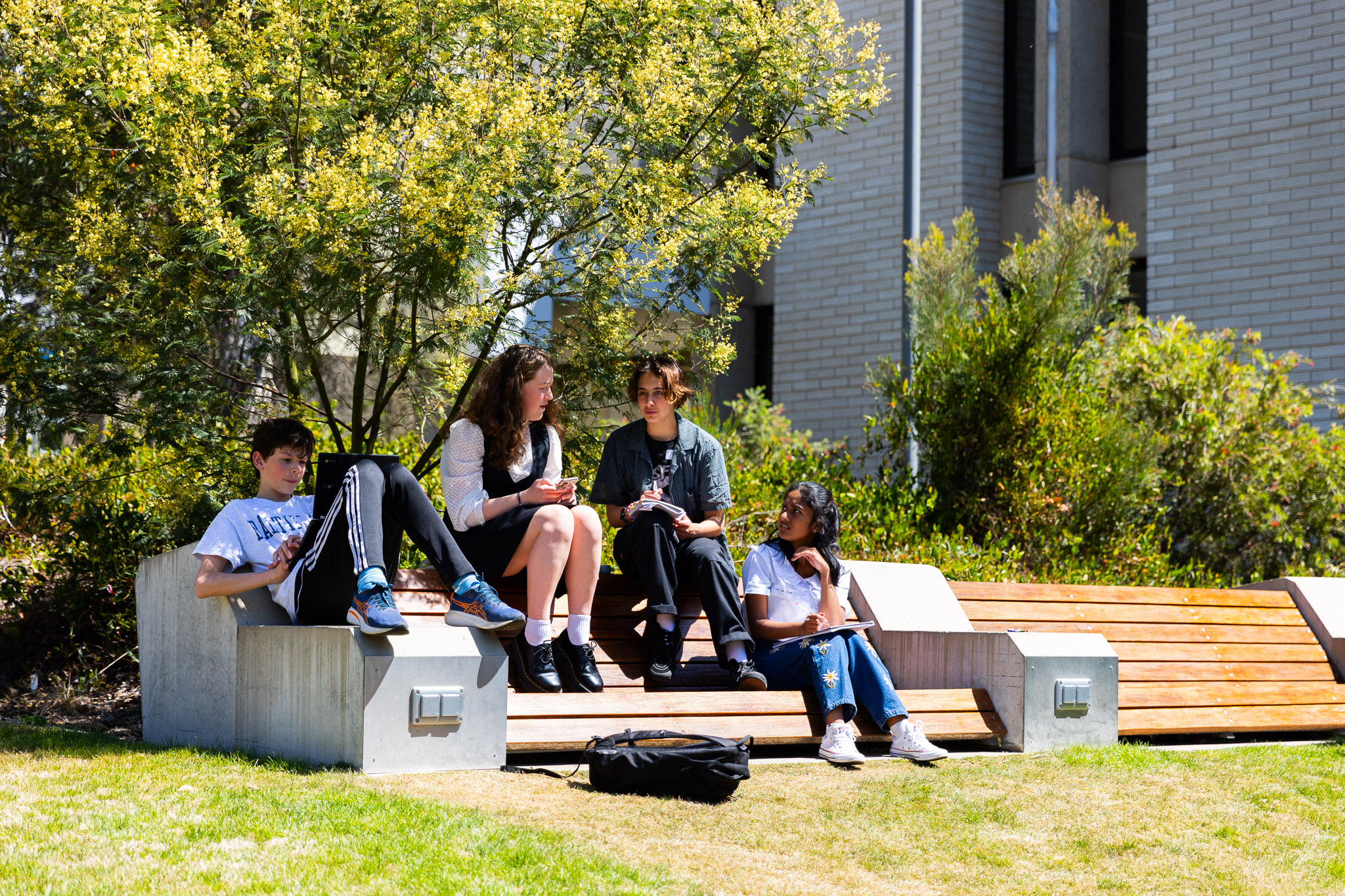 Students using laptops in an outdoor setting