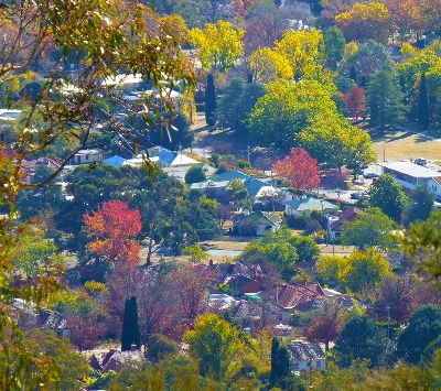 A Canberra suburb taken from an elevated view featuring Autumn-coloured trees