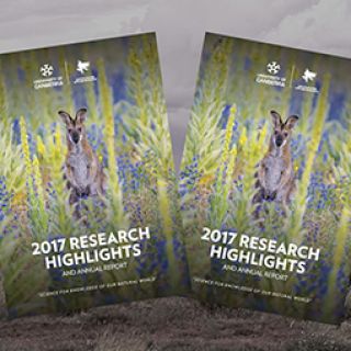 IAE 2017 Annual Report TH