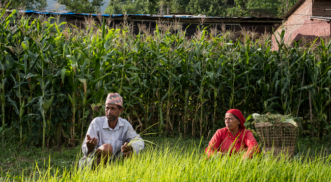 Farming Couple in Nepal 