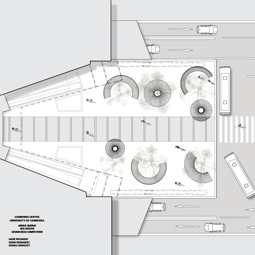 Aggie Rostagno, Cedar Hernandez & Joshua Catanzariti Project Image 3
