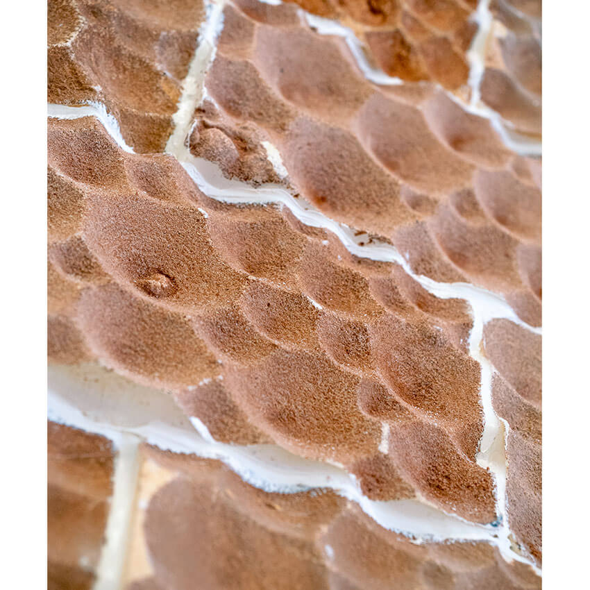 Sage Tynan & Thomas Petersen Project Image 1