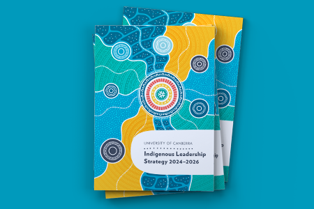 Indigenous Leadership Strategy
