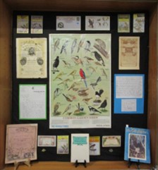 Gould League of Bird Lovers