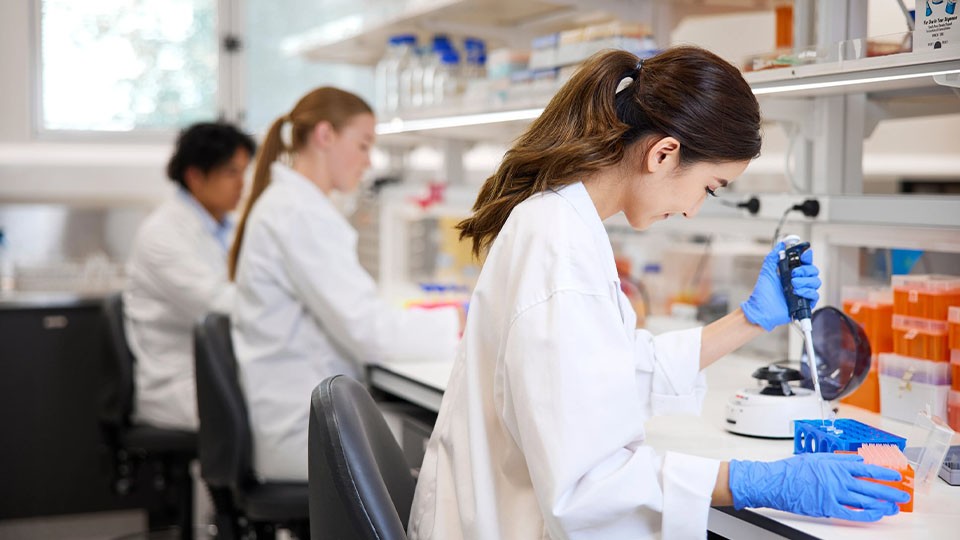 Biomedical vs Medical Science degrees: which one is right for you?